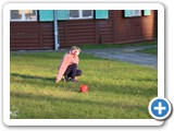 Ahlbeck'23_83